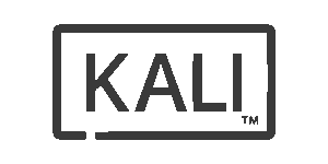 Kali-cyber security tool
