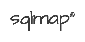 Salmap-cyber security tool